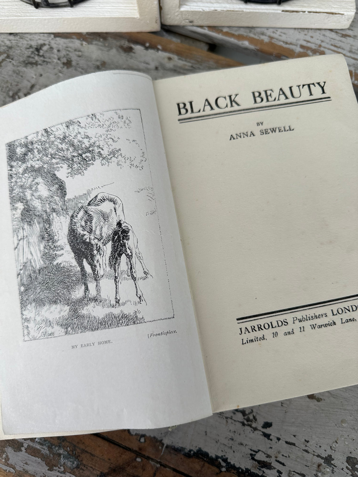 Book Vintage yellow Black Beauty