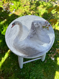 Swan stool