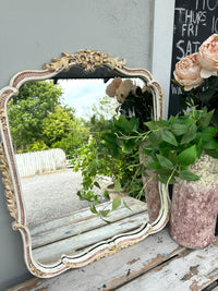 Pink & Wild Tusk Mirror