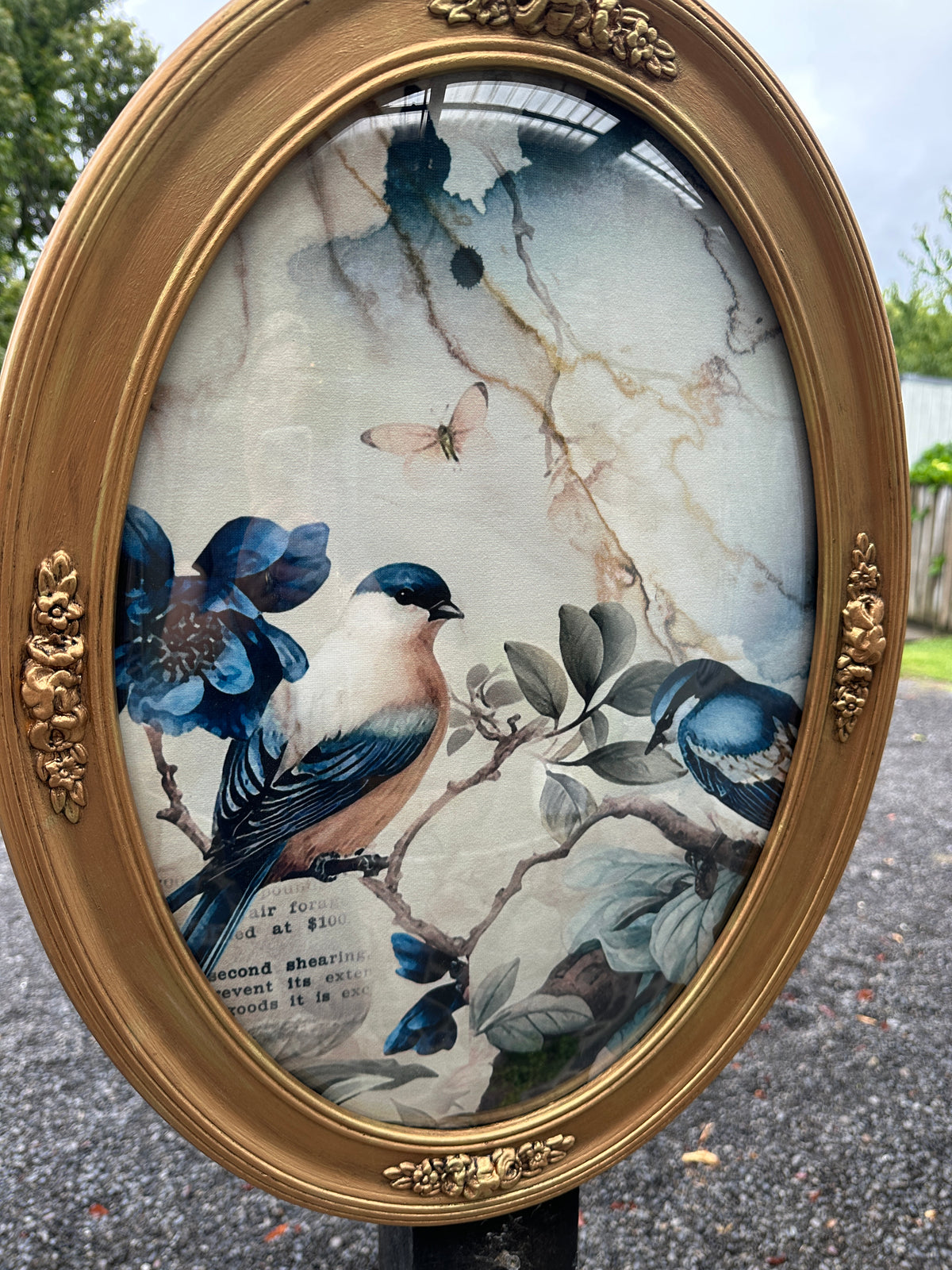 Olde Gold Frame w bubble glass and Sapphire Birds