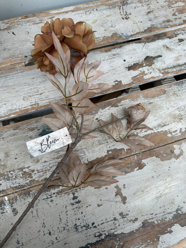 Peony peach/coffee stem