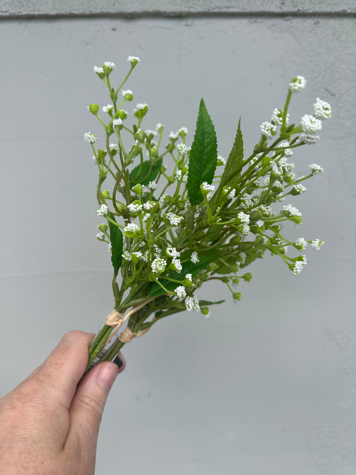 Gypsophila Bundle