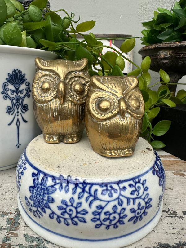 Brass Owl 