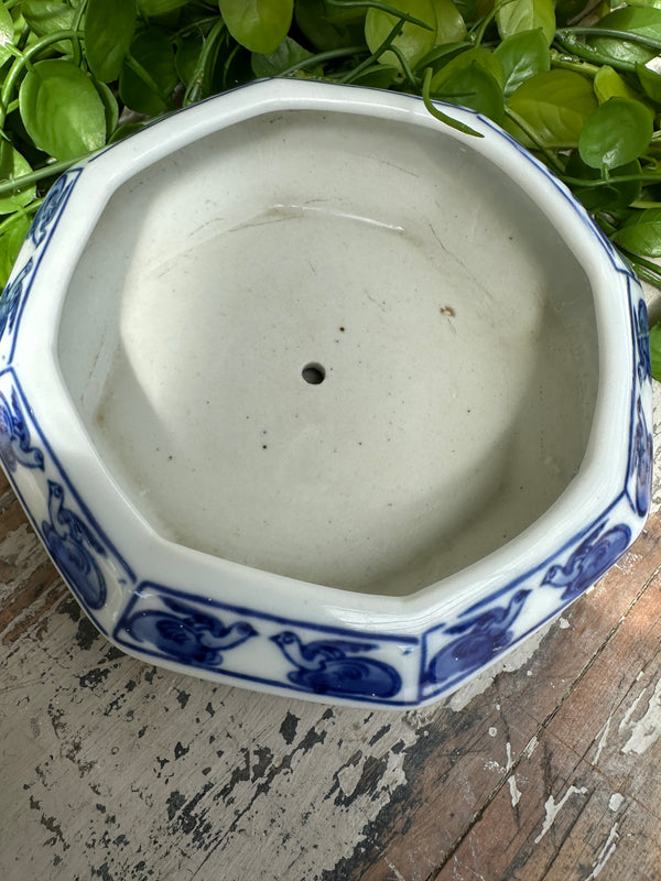 Saucer for plant or trinkets Blue & white dish