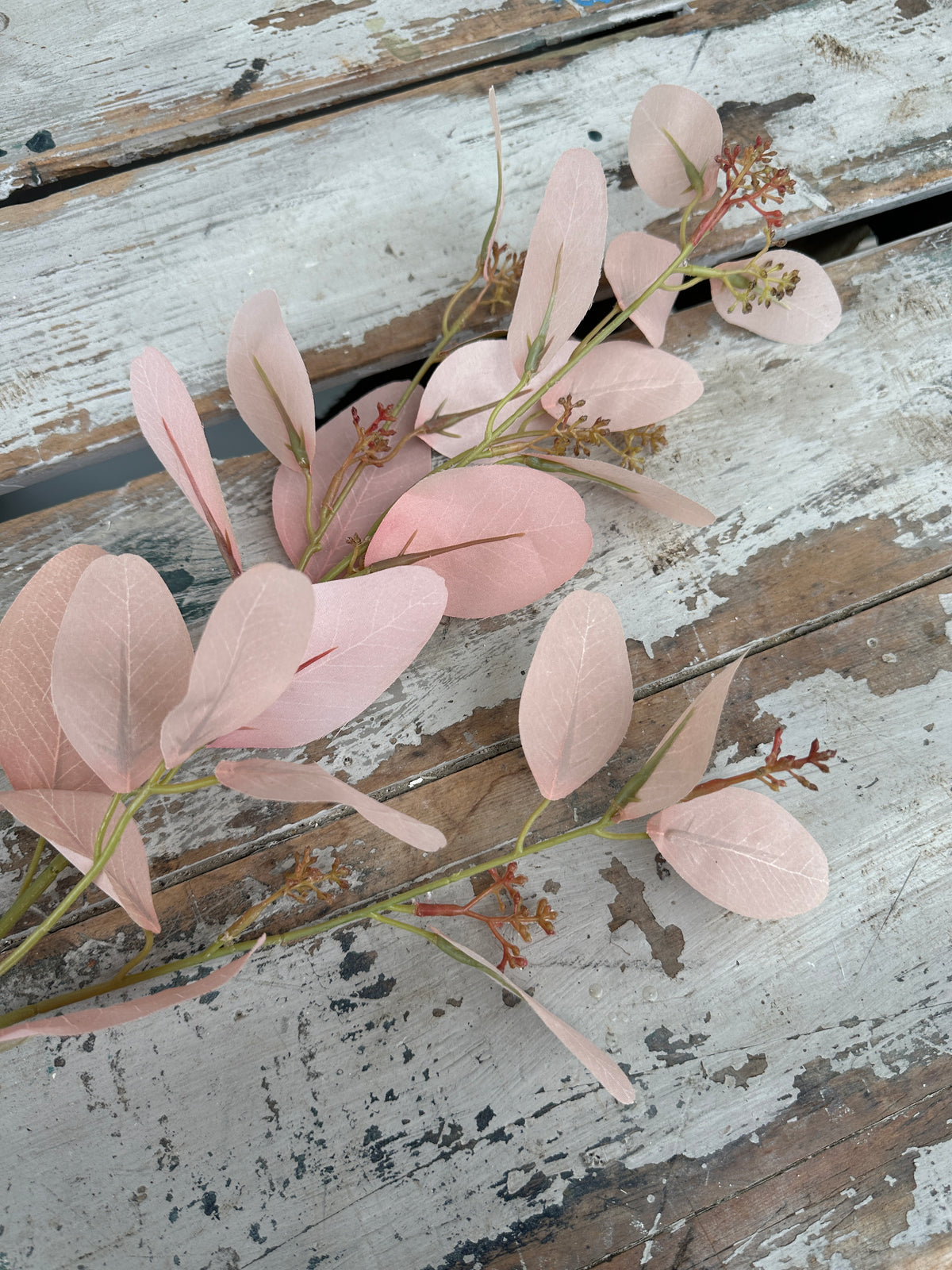 Paris Eucalyptus antique blush stem