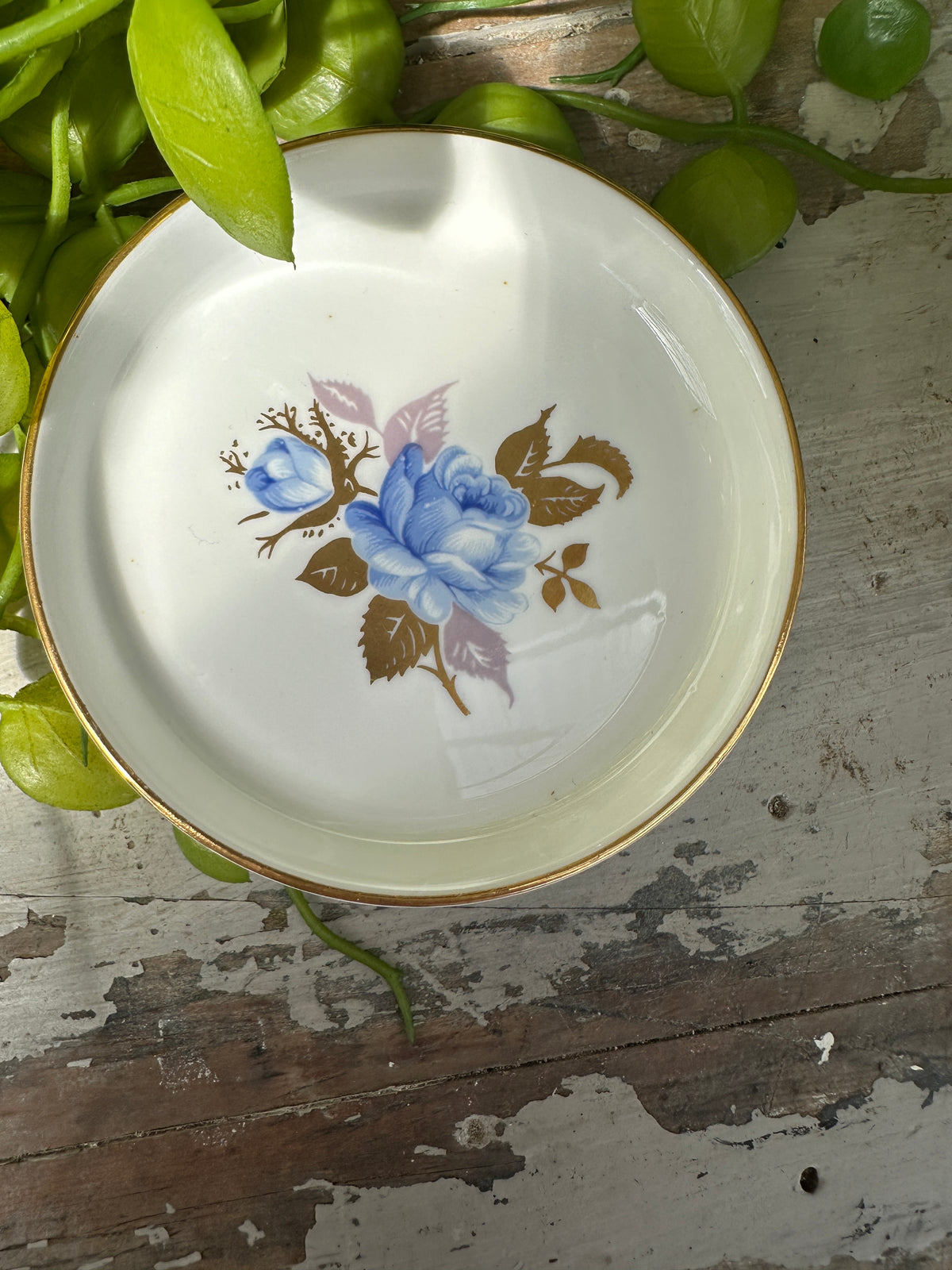 Trinket dish blue & gold bone china