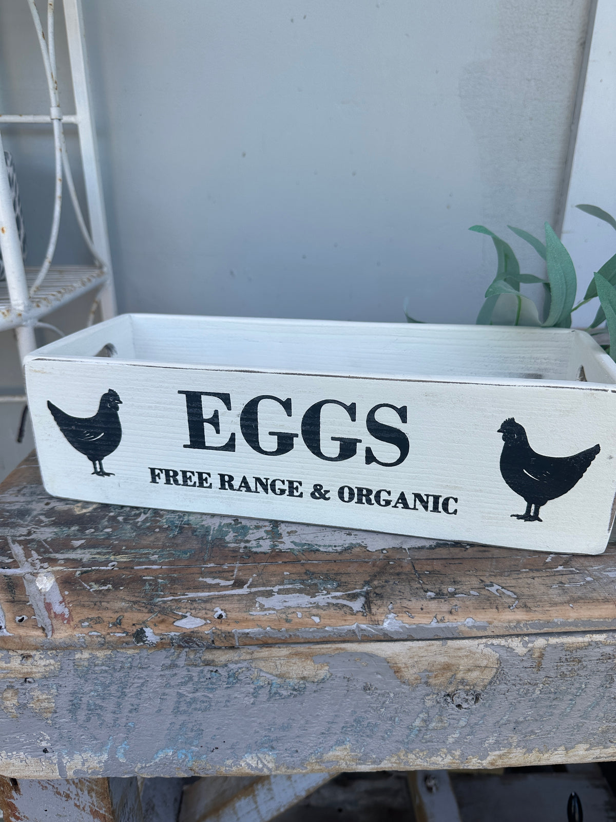 Egg & Chicken Natural 12pce wooden box