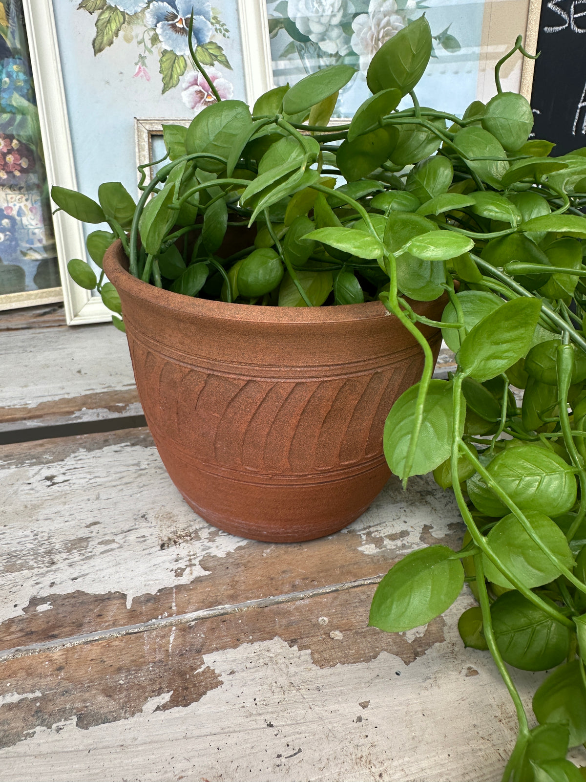 Terracotta planter w aged patina