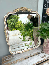 Pink & Wild Tusk Mirror