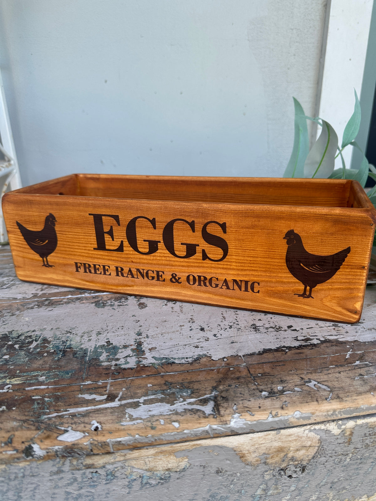 Egg & Chicken Natural 12pce wooden box