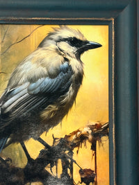 Avian Bird Framed Artwork