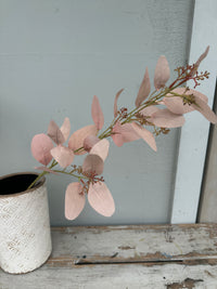 Paris Eucalyptus antique blush stem