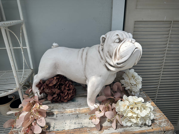 Bulldog White large