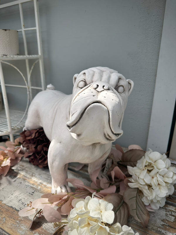 Bulldog White large