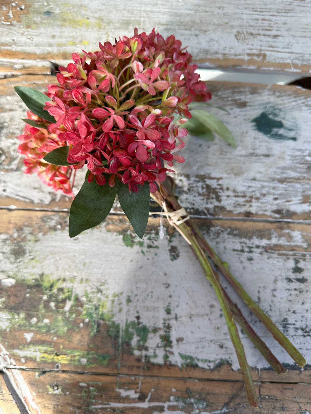 Virburum Bouquet sunset