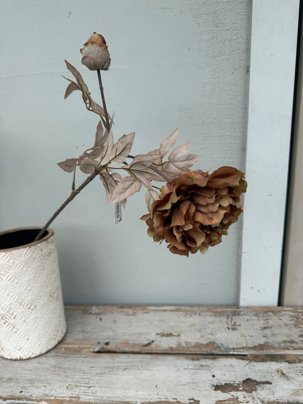 Peony peach/coffee stem