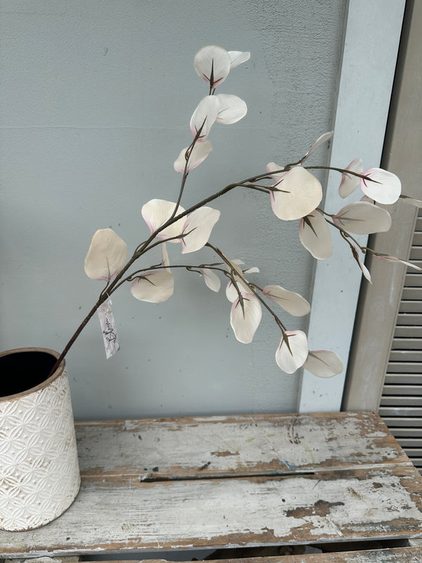 French Eucalyptus Antique white stem