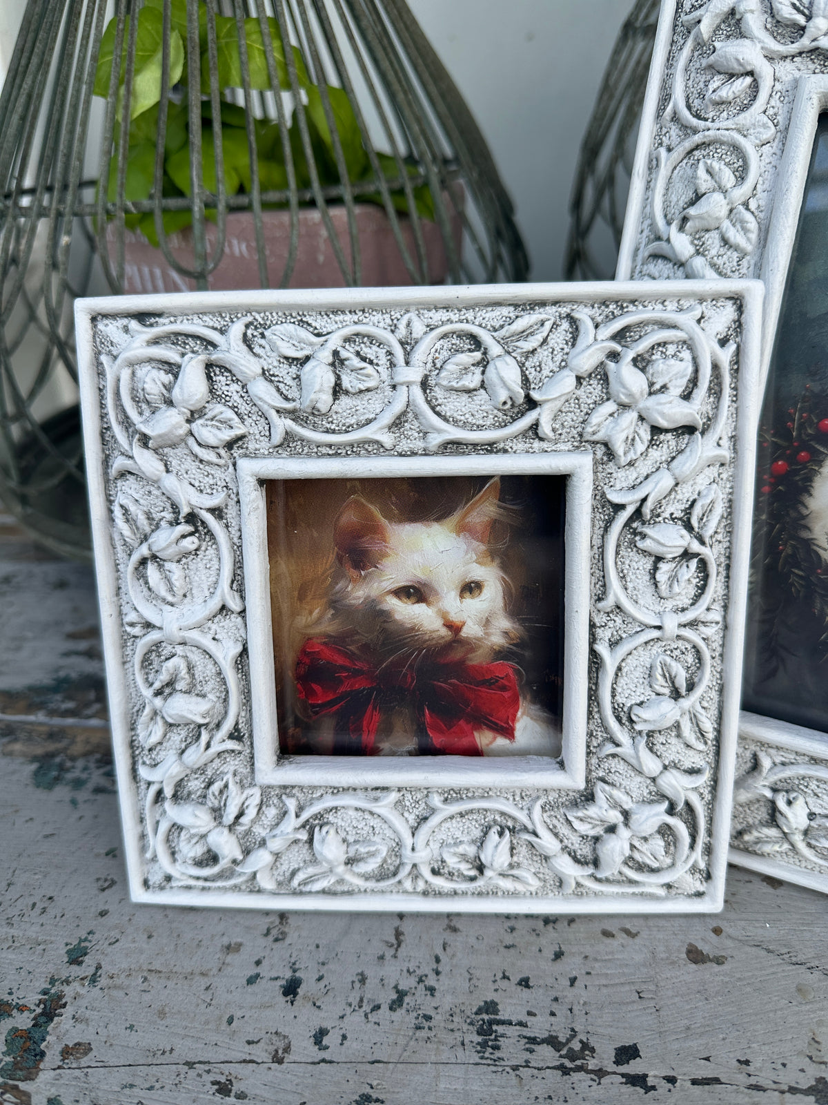 Velvet Cat framed in White frame