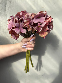 Petite Hydrangea Stem mixed pinks