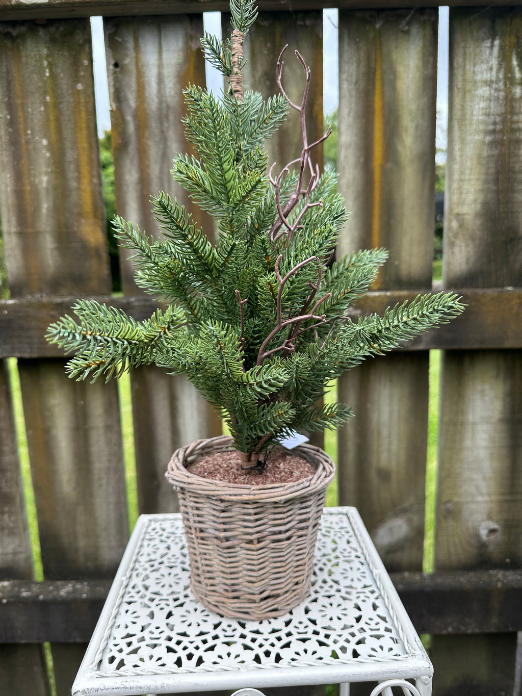 Pine Tree with Greywash rattan basket