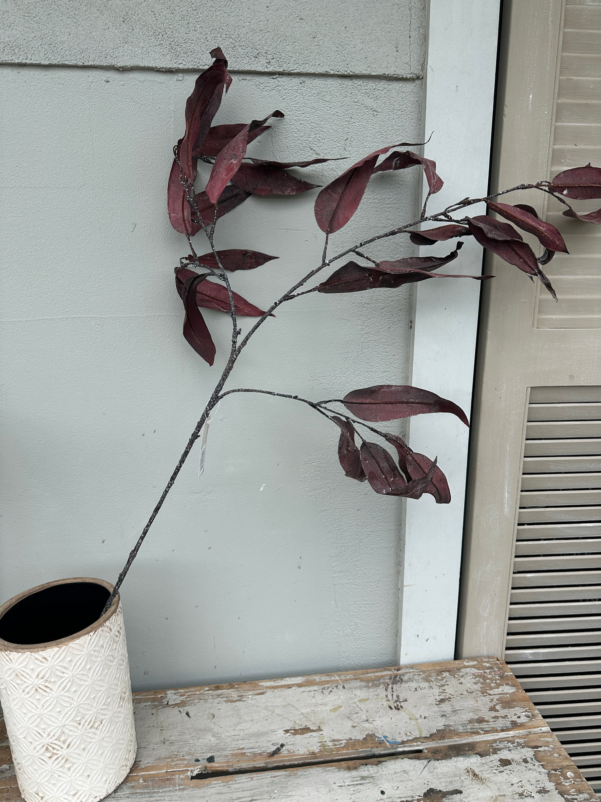 Eucalyptus Burgundy spray stem