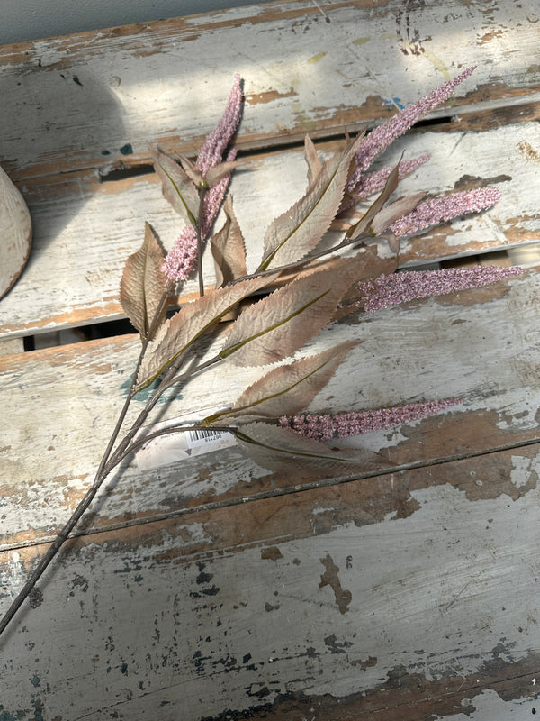 Salvia Mauve stem