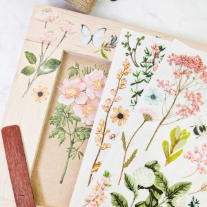 Redesign with Prima transfer small Botanical Paradise