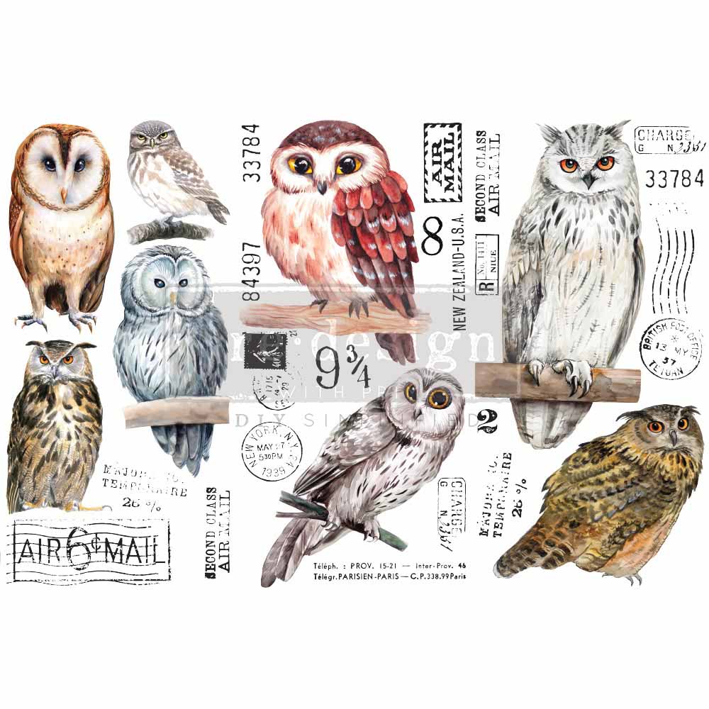 Redesign with Prima transfer small Owl