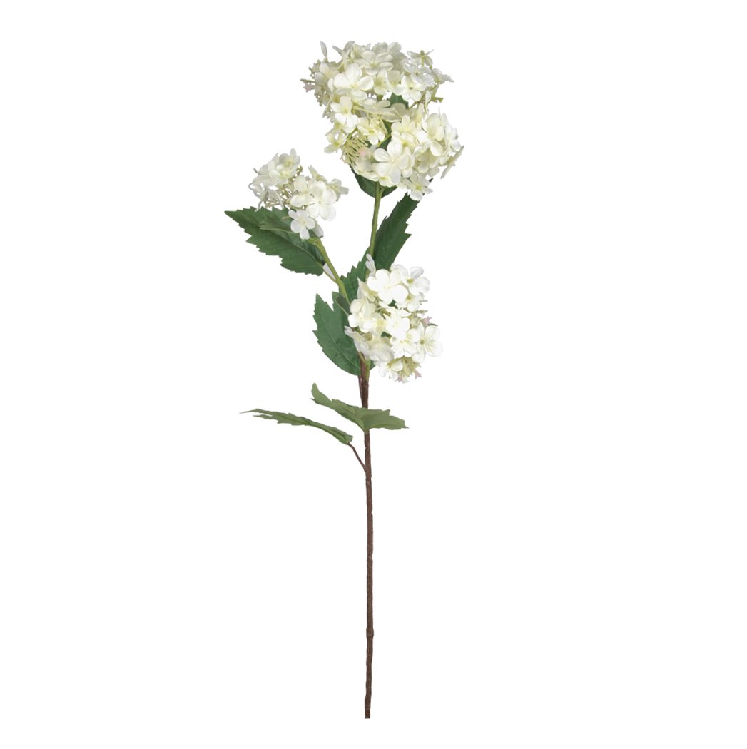 Hydrangea Mountain White Stem