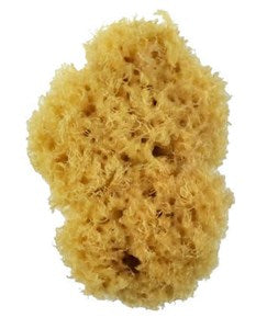 Artist Natural Sponge small size