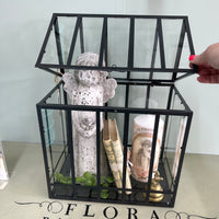 Glasshouse for Decor - collect only